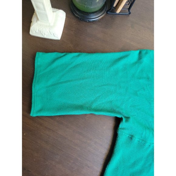 Style & Co petite. Vintage Beaded Blouse V-neck green size Medium - Picture 3 of 12